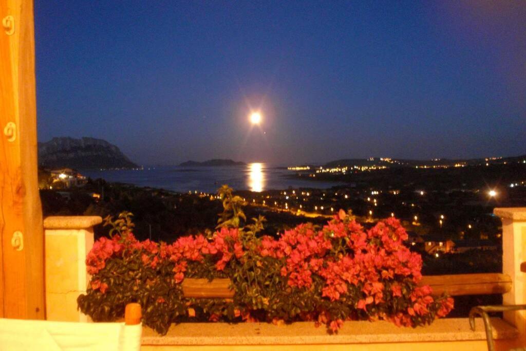 Villa And Pool Tavolara View Porto Istana Dış mekan fotoğraf